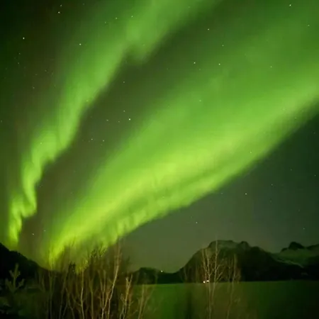 Cozy Small For 2 In The Center Of Free Parking And Fast Internet * Narvik