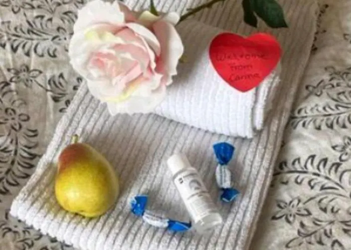 Cozy Small For 2 In The Center Of Free Parking And Fast Internet Narwik